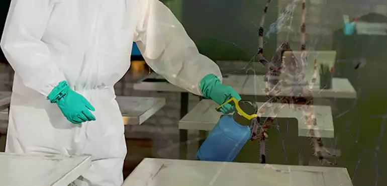 Why Buyers Still Want Homes With Pest Infestations in Brooklyn, NY?