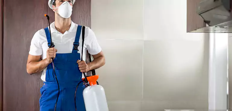 Why Brooklyn Homeowners Choose Us When Pests Make Selling Difficult