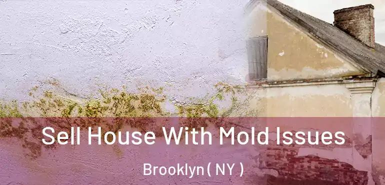  Sell House With Mold Issues Brooklyn ( NY )