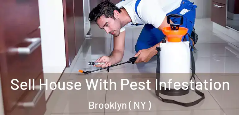 Sell House With Pest Infestation Brooklyn ( NY )